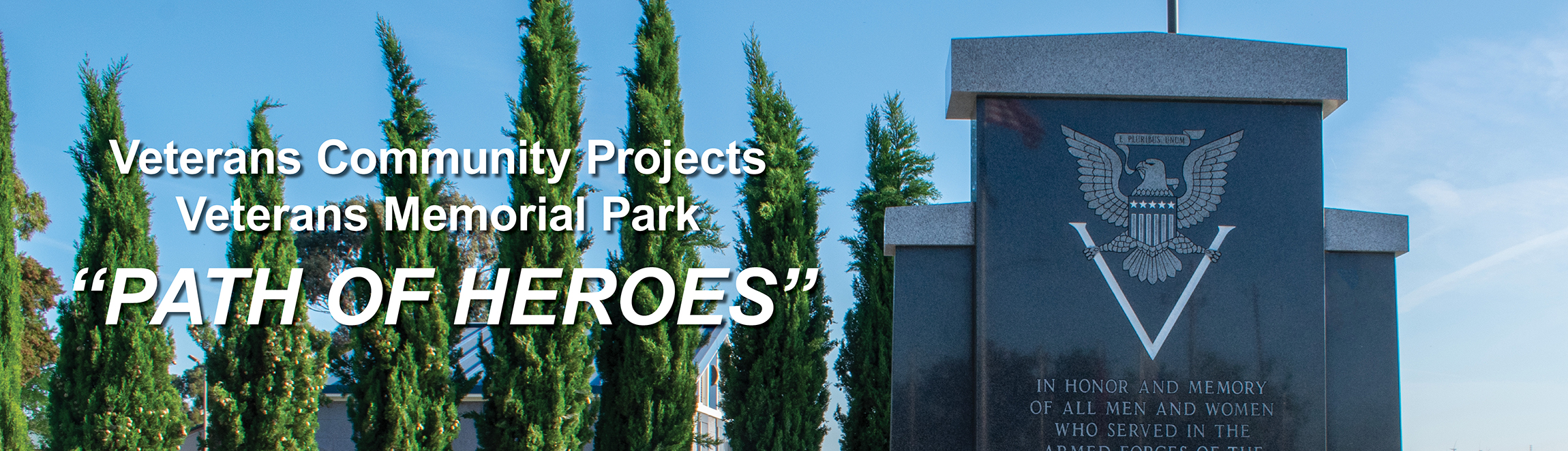 a thumbnail for my projects with the DVG